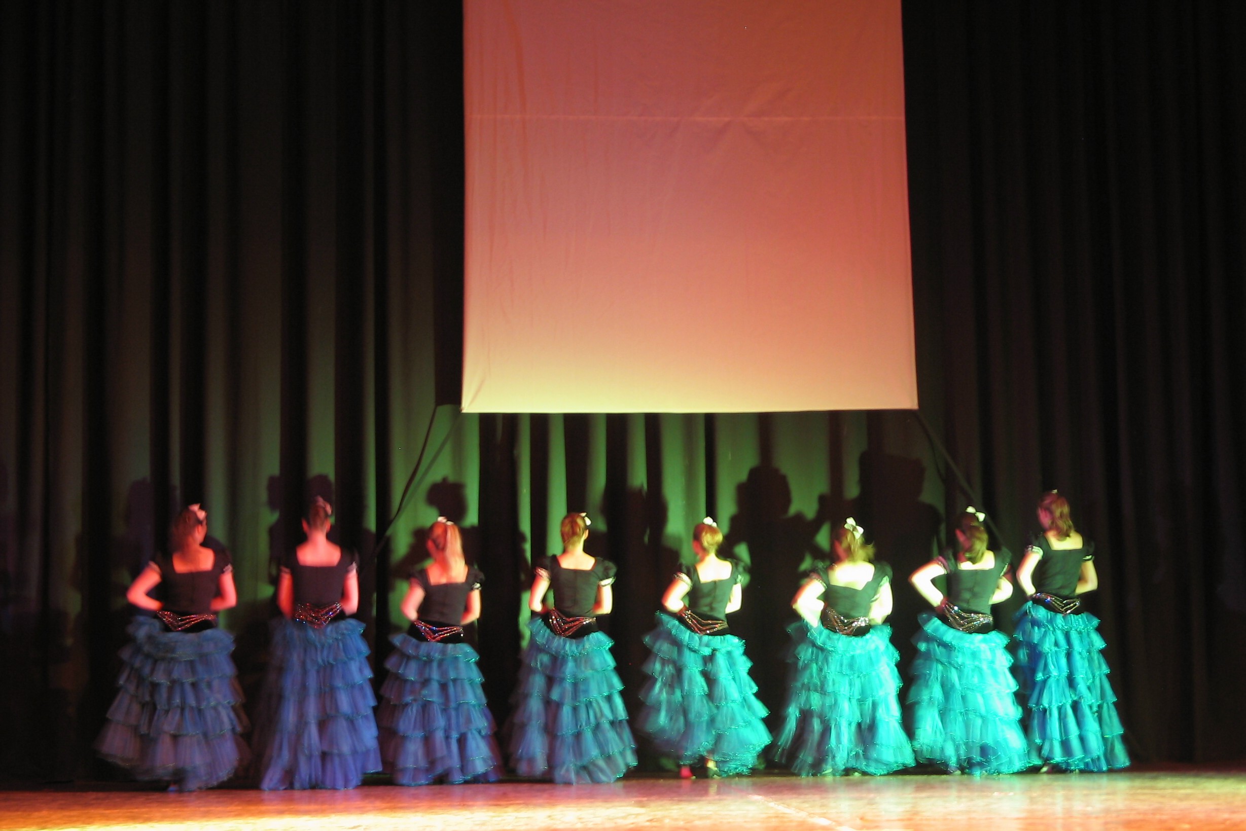 Schuljahresgala 2009: Its Showtime